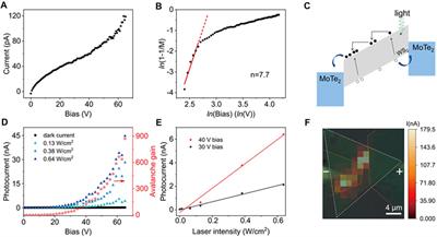 A Complete Two-Dimensional Avalanche Photodiode Based on MoTe2−WS2−MoTe2 Heterojunctions With Ultralow Dark Current